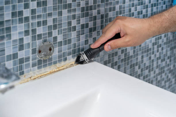 Best Mold Testing and Inspection Services in North Richmond, CA